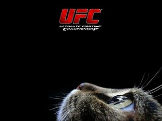 Ufc Ultimate Fighting Championship Logo Title Cat Mma Mixed Martial