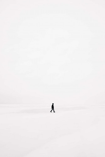 Vintage Minimalism In Full Bloom Wallpaper