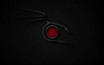 Black HD Widescreen Wallpaper