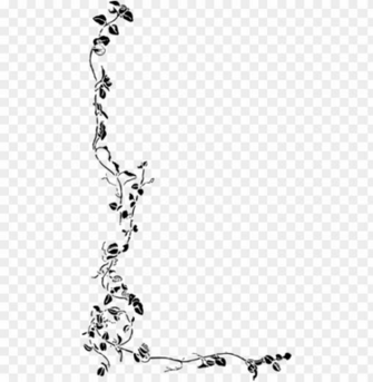 Flores Blanco Y Negro Vector Png Black And White Side Border