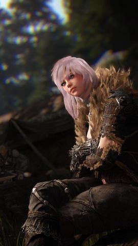 Video Game Black Desert Online