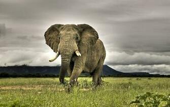 Top HD Wallpaper Collection For Pc Laptop Best Pic Store