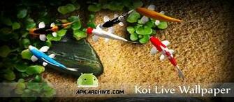 Koi Live Wallpaper Apk
