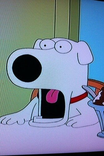 Brian Griffin Wallpaper Pictures