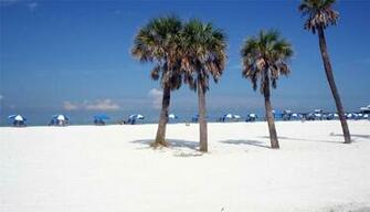On August By Admin Comments Off Florida Beach Wallpaper