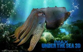 3d Under The Sea Film Movies
