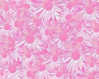 Pink Daisy Background Stock Photo HD Public Domain Pictures