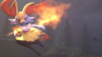 Sfm Braixen By Postal Code