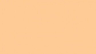 Peach Color Background Solid