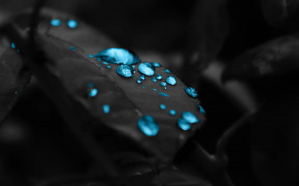 Digital Art Wallpaper