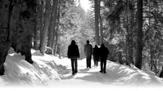 Agalloch HD Wallpaper Background