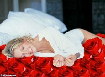 Bed Of Roses Pictures Freaking News