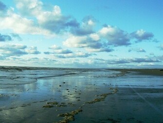 Ocean