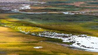 Wallpaper Gannan Wetland Water Grass China UHD 5k
