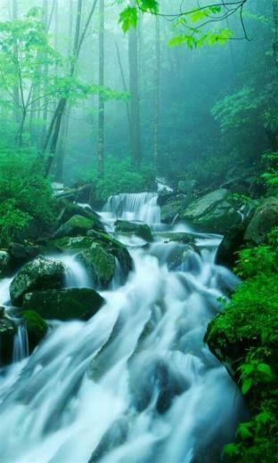 Waterfall Screensaver Mobile Live HD Wallpaper