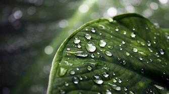 Background Waterfall Wallpaper