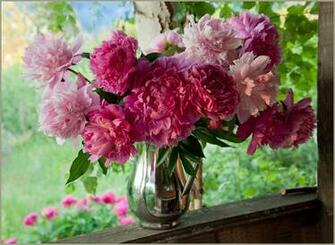 Peonies High Quality And Resolution Wallpaper On