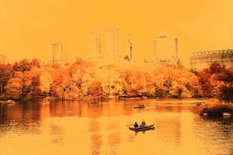 York City Central Park Nashville HD Wallpaper Hot