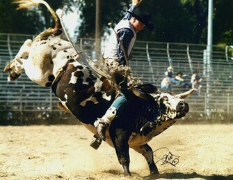 Brazylijska Przygoda Yiiihaaa Weekend Z Rodeo
