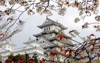 Japan Cherry Blossoms Flowers Japanese Architecture Wallpaper