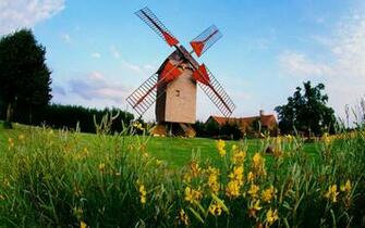 Nature Nice Windmill Grass Greenery Green Beautiful Wind Flowers Fiel