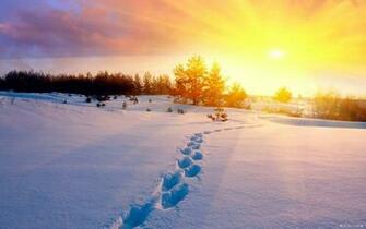 Wallpaper Nature Snow