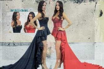 Artists Like Wwe The Bella Twins Brie And Nikki Photo By Windows8osx