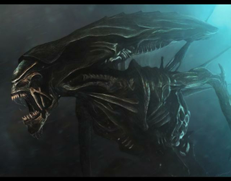 Alien Queen Portraits By Synax444