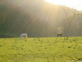 Desktop Wallpaper Of The English Countryside Castle Stream