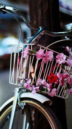 Flower Bike iPhone 5s Wallpaper iPad