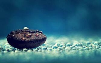 Water Drop HD Wallpaper