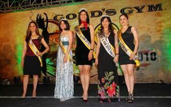 Golds Gym Miss Fit N Fab Contest Wallpaper Size1280x800