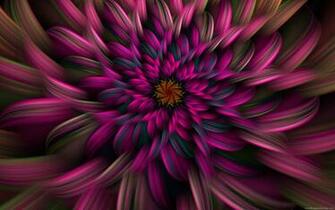 HD Wallpaper Compter Desktop Widescreen