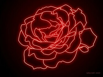 Let Your Desktop Glow With Neon Light Wallpaperdzine360