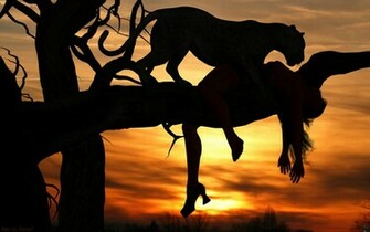 In Africa Leopards Revenge Computer Wallpaper Desktop Background