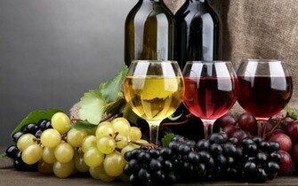 New Surfing Madonna Wine Coming Soon Beach Run 5k