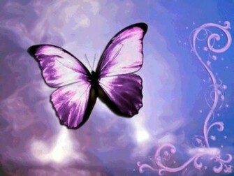 Barbie Butterfly Wallpaper Mybarbiegame Cute