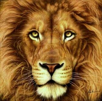 Cowardly Lion By Drkujo
