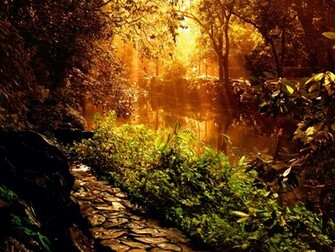 High Definition Landscape Wallpaper12 Wallpaper