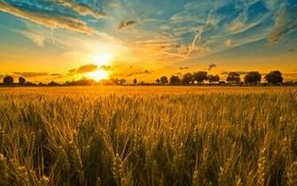 Reaping The Harvest Christ Has Sown Tgc