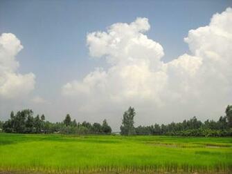 Village Shanto Bangladesh Wallpaper