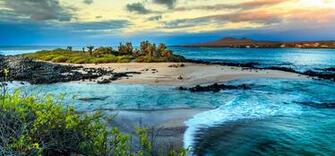 Top Dive Sites In The Galapagos Deeperblue
