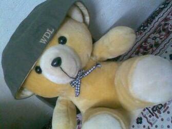 Teddy Bear Desicomments