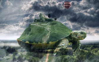 Cool Turtle Wallpaper