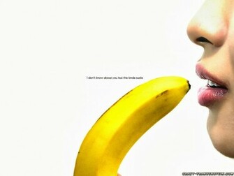 HD Cool Funny Wallpaper For Your Computer Gallery