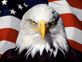Eagle On Flag Wallpaper Stock Photos