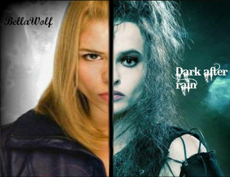 Bellawolf Doctor Who Harry Potter Crossover By Laurenthebumblebee