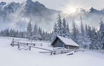 Wallpaper Winter Landscape Snow Tree Mountain Cabin