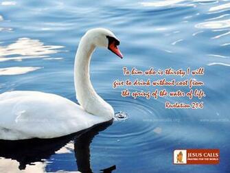 Right Click On This Image And Select Set As W Allpaper Or