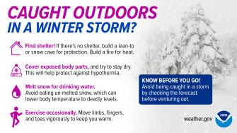Winter Infographics